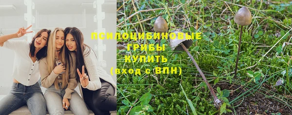 Альфа ПВП Арсеньев