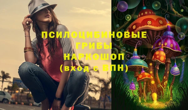 Альфа ПВП Арсеньев