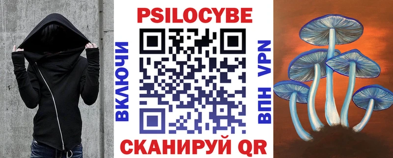 Псилоцибиновые грибы мицелий  купить закладку  Мценск 