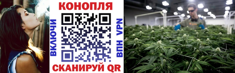 наркотики  Мценск  Бошки Шишки Ganja 